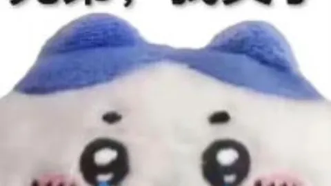 434日重逢首发，安切洛蒂喜迎阿拉巴回归：冠军归来欢庆时刻！