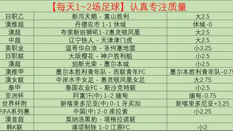 “14起案件VAR误判，判决信息公开，裁判机构公开致歉”